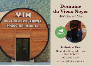 Domaine du Vieux Noyer