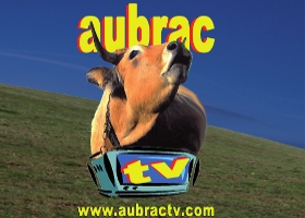 Aubrac TV | Marché des Pays Aveyron