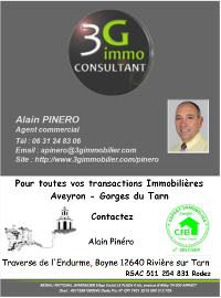 3G Immo Consultant